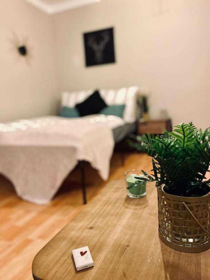 Saniertes Studio - Elisa - Mit Balkon, Wlan, Smart-Tv & Kueche In City-Naehe 埃尔福特 外观 照片
