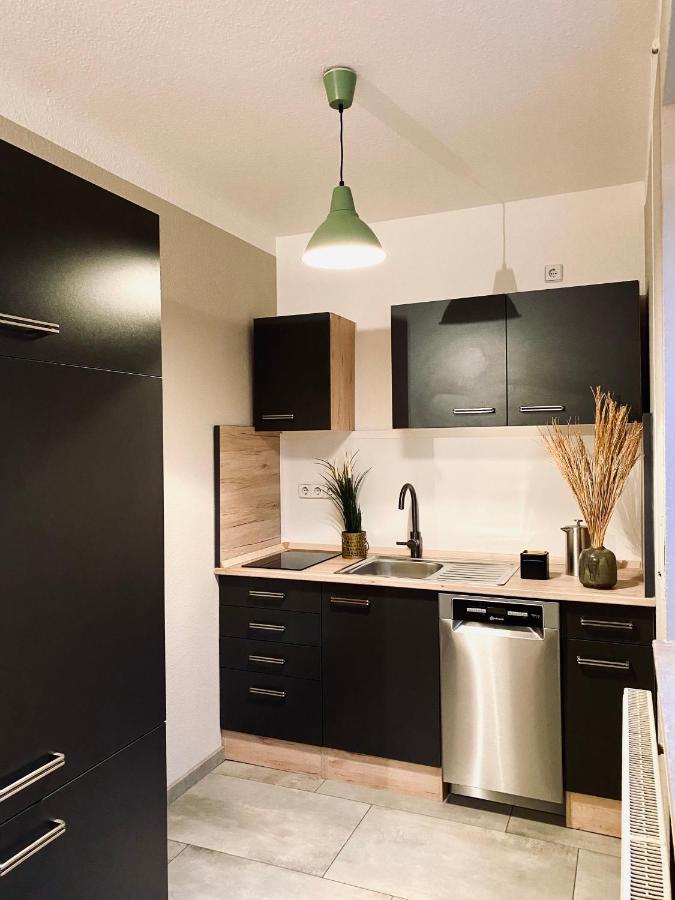 Saniertes Studio - Elisa - Mit Balkon, Wlan, Smart-Tv & Kueche In City-Naehe 埃尔福特 外观 照片