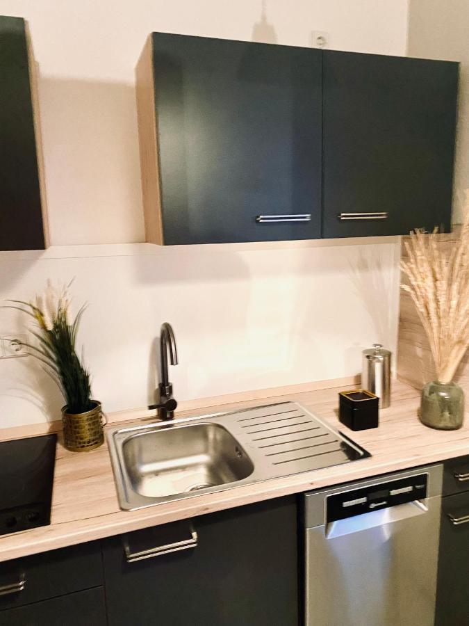 Saniertes Studio - Elisa - Mit Balkon, Wlan, Smart-Tv & Kueche In City-Naehe 埃尔福特 外观 照片